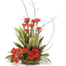 Basket Arrangements 9