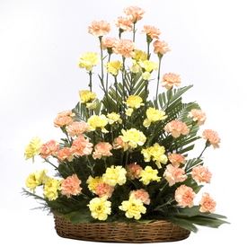 Basket Arrangements 14