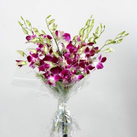 Fresh Flower Hand Bunches Arrangements 23