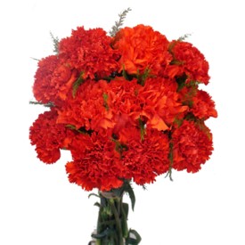 Fresh Flower Hand Bunches Arrangements 28